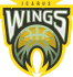 team icarus wings 1