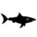 Miami Sharks BFL Logo 2_Backbreaker Football League