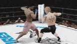 Vicious Head Kick Knockout In Pride FC